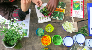 herb workshop at hackney herbal